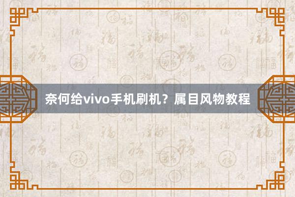 奈何给vivo手机刷机？属目风物教程