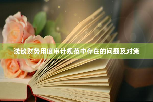 浅谈财务用度审计规范中存在的问题及对策