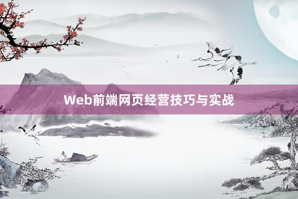 Web前端网页经营技巧与实战