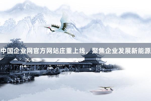 中国企业网官方网站庄重上线，聚焦企业发展新能源